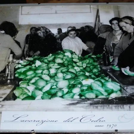 Aparthotel Riviera Dei Cedri 4*